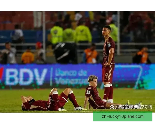 哥伦比亚对阵委内瑞拉比赛焦点分析与最新战况揭秘